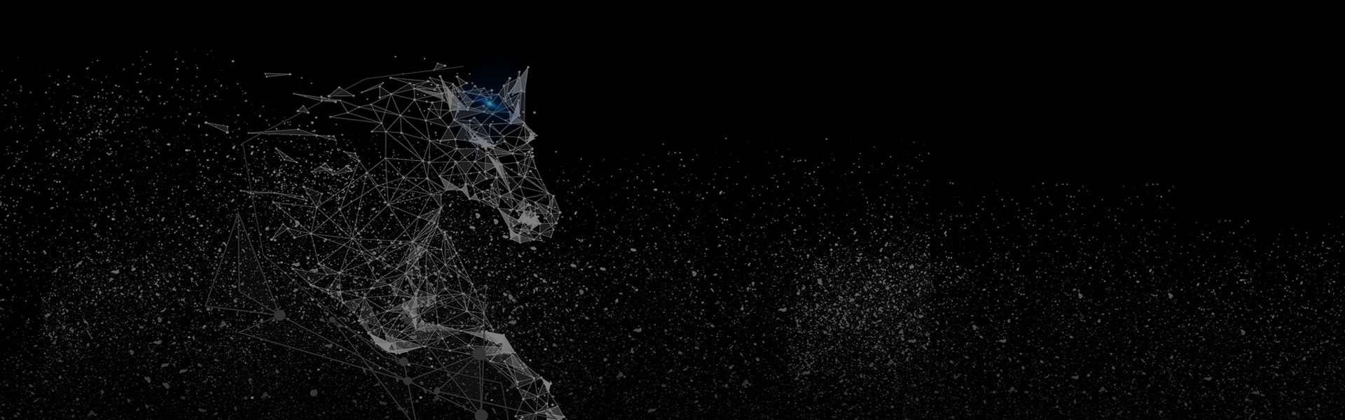 長沙專業(yè)的網(wǎng)站建設(shè)公司，提供專業(yè)的服務(wù)讓您放心，安心